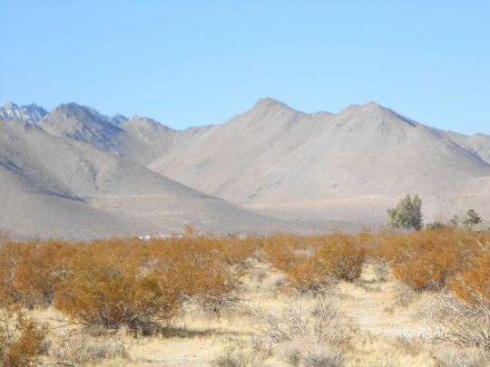 Neal Ranch Road Inyokern, CA 93527 - Photo 6 of 9 Gallery Image 6