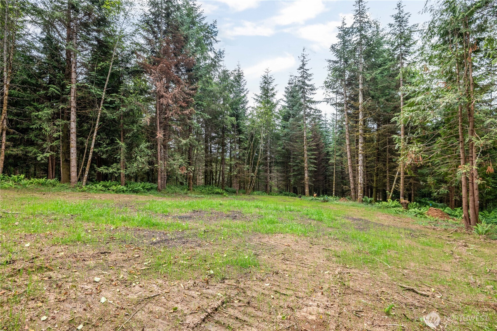 0 Bunker Hill Road, Unit B Longview, WA 98632 - Photo 5 of 13 Gallery Image 5