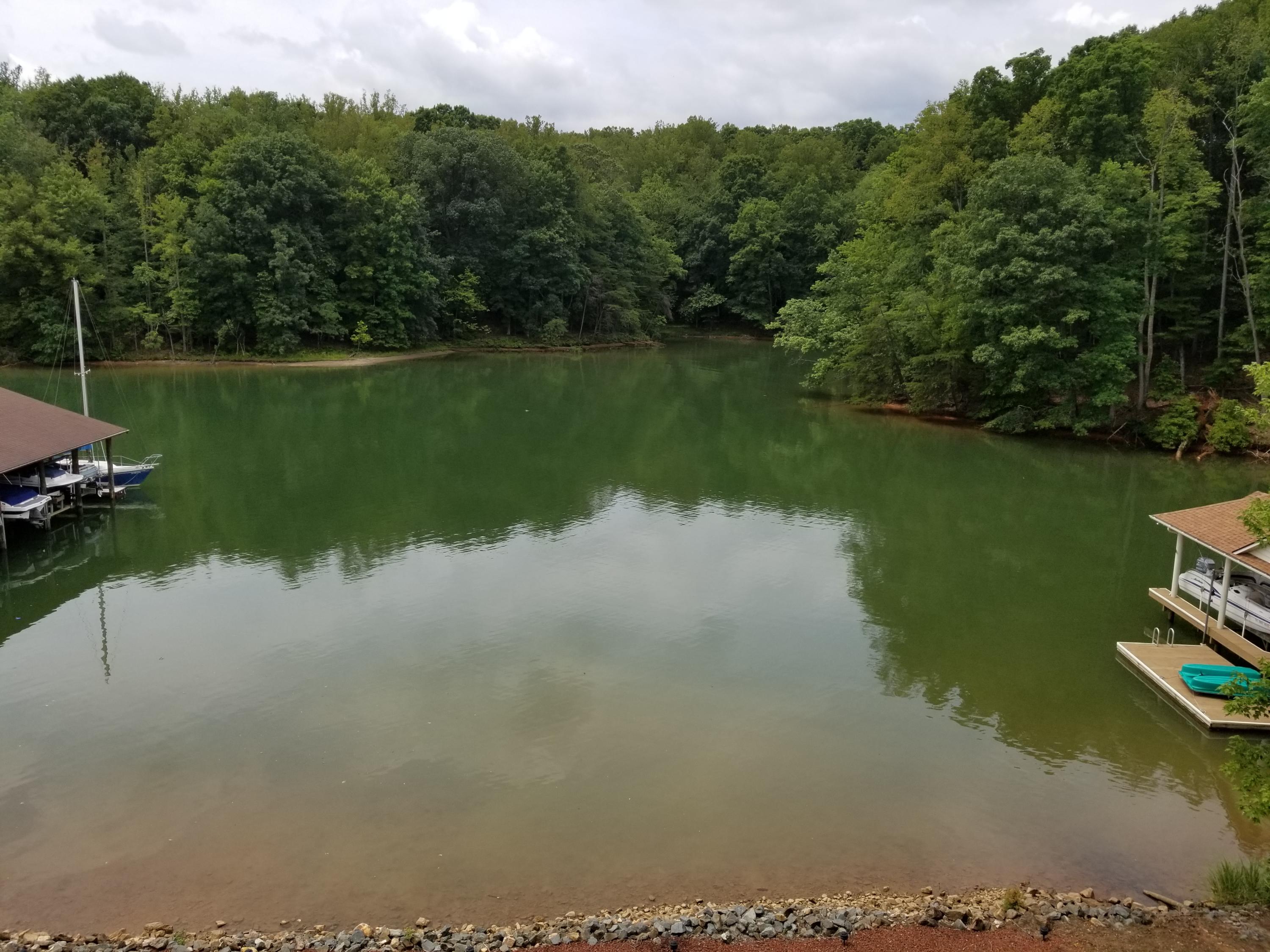 600 Monte Vista Road, Unit 803 Union Hall, VA 24176 - Photo 12 of 26 Tranquil views