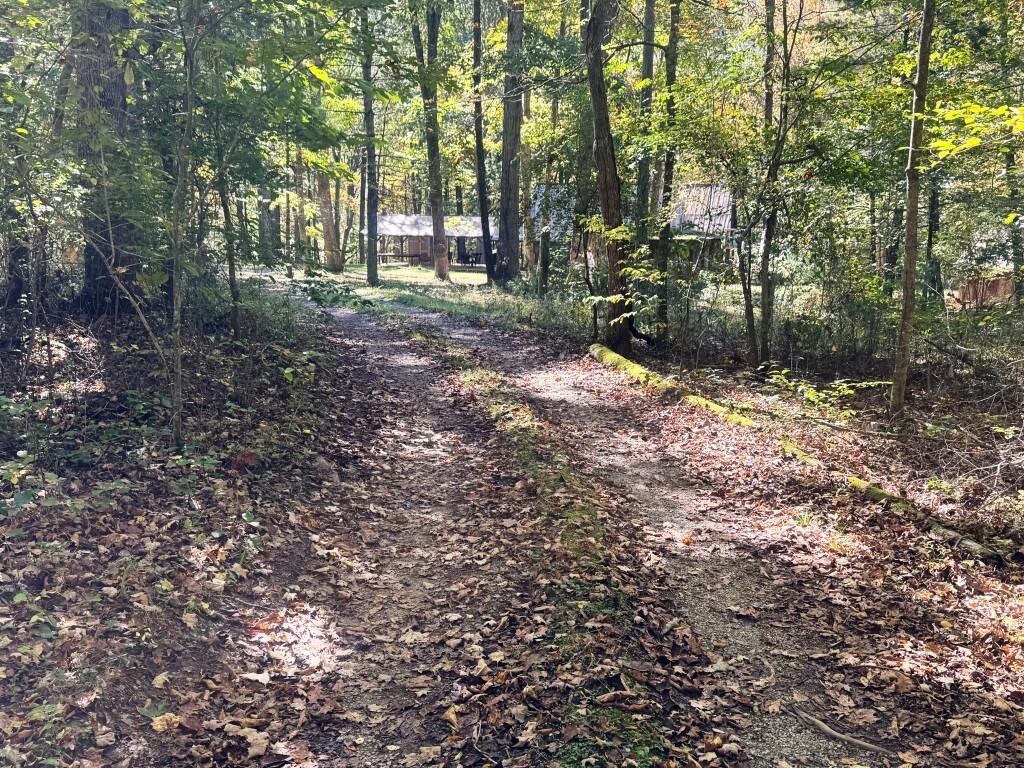 9752 Grapefield Road Bastian, VA 24314 - Photo 10 of 34 Gallery Image 10