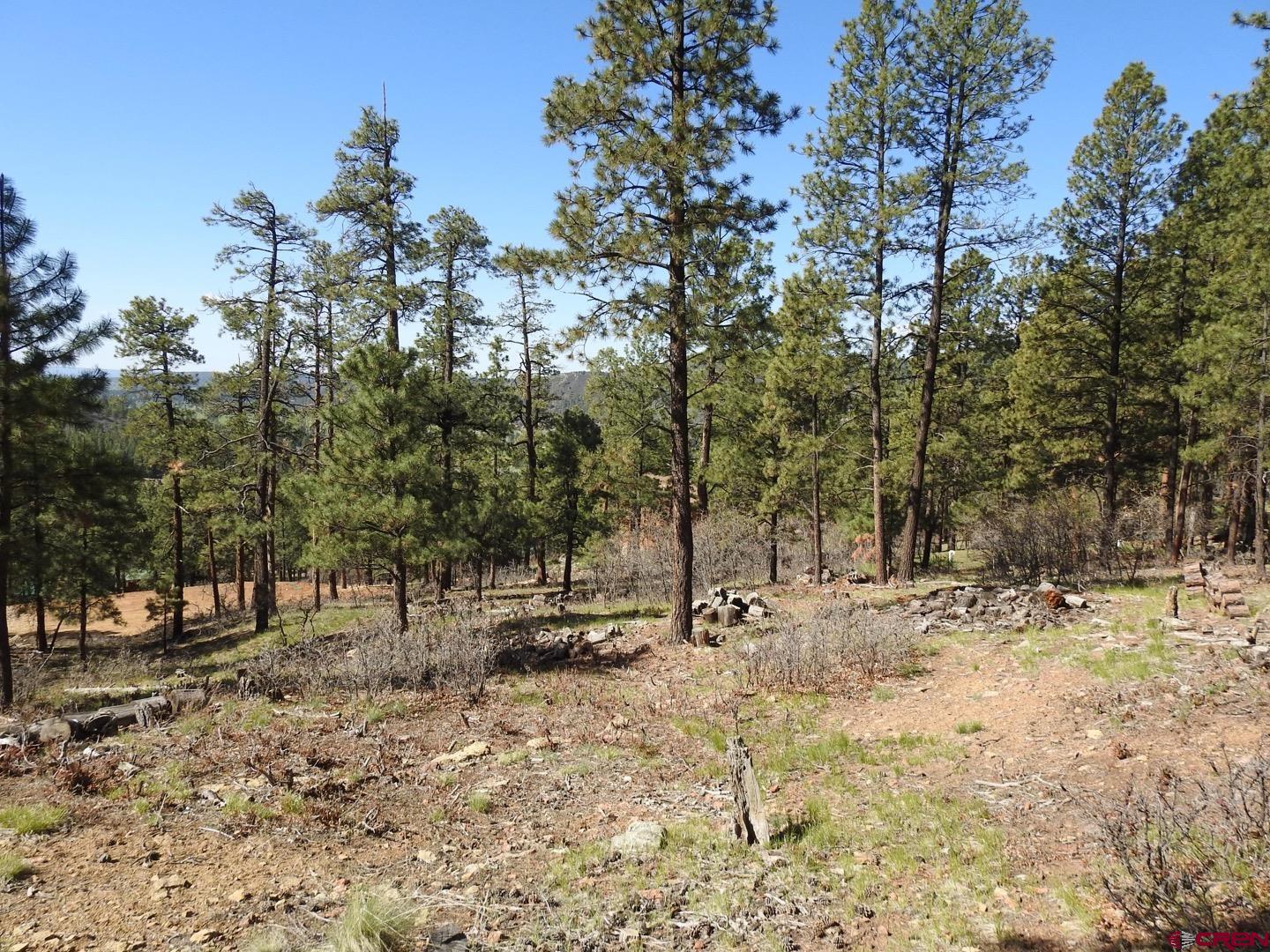 1142 Deer Ridge Drive Bayfield, CO 81122 - Photo 1 of 15 a view of outdoor space with trees