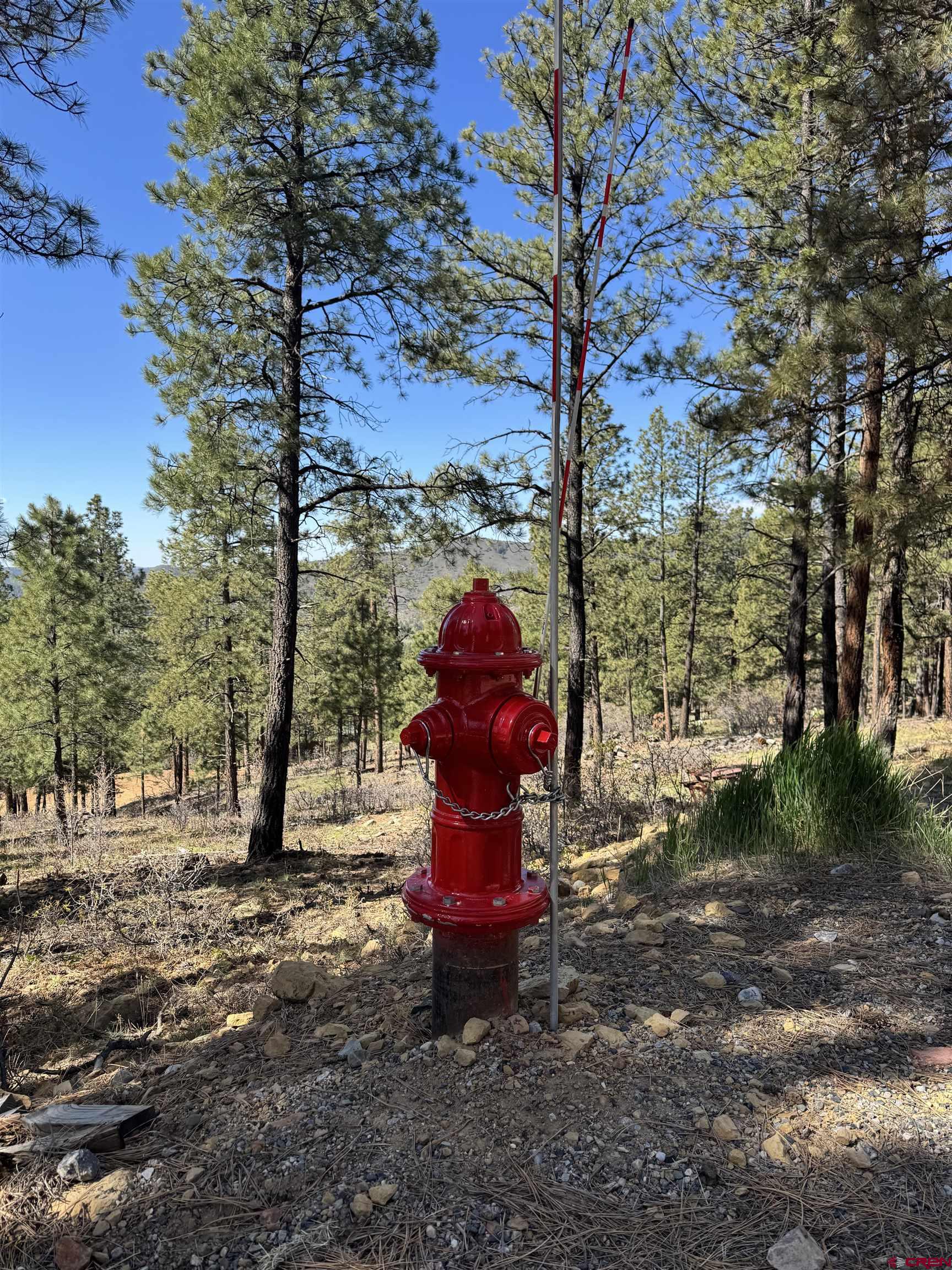 1142 Deer Ridge Drive Bayfield, CO 81122 - Photo 12 of 15 a view of a yard