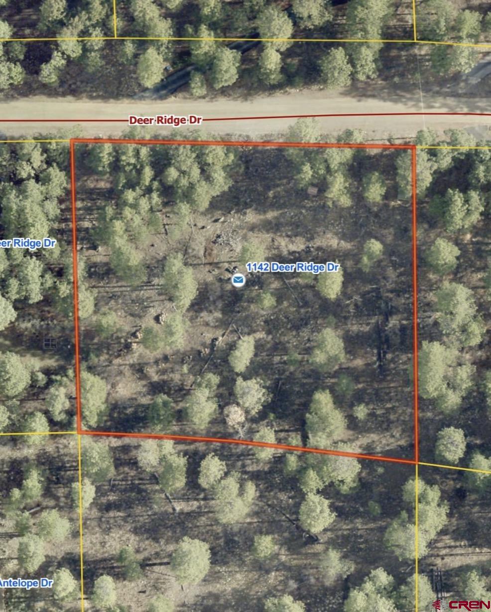 1142 Deer Ridge Drive Bayfield, CO 81122 - Photo 2 of 15 a view of a yard