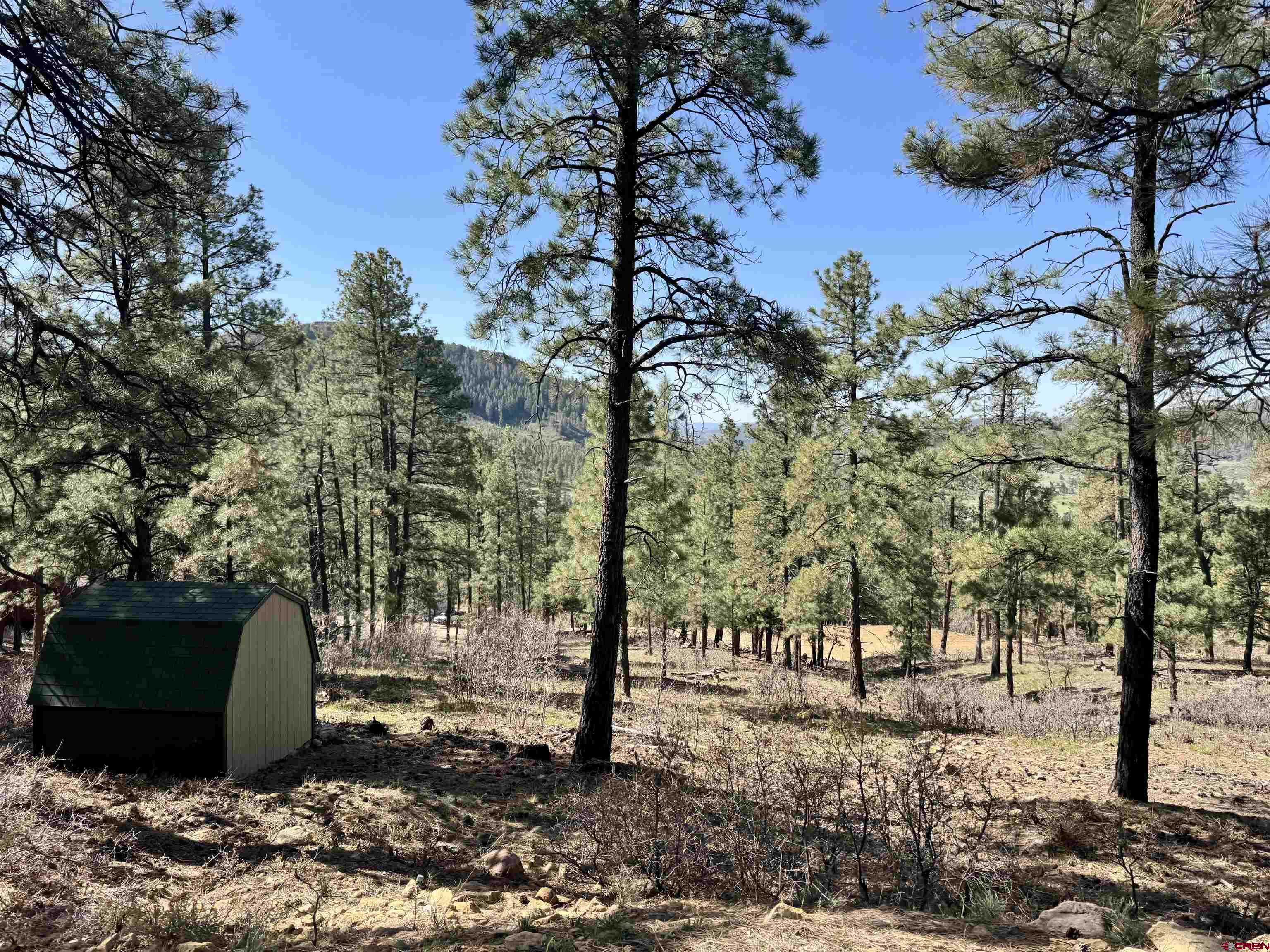 1142 Deer Ridge Drive Bayfield, CO 81122 - Photo 3 of 15 a view of a outdoor space