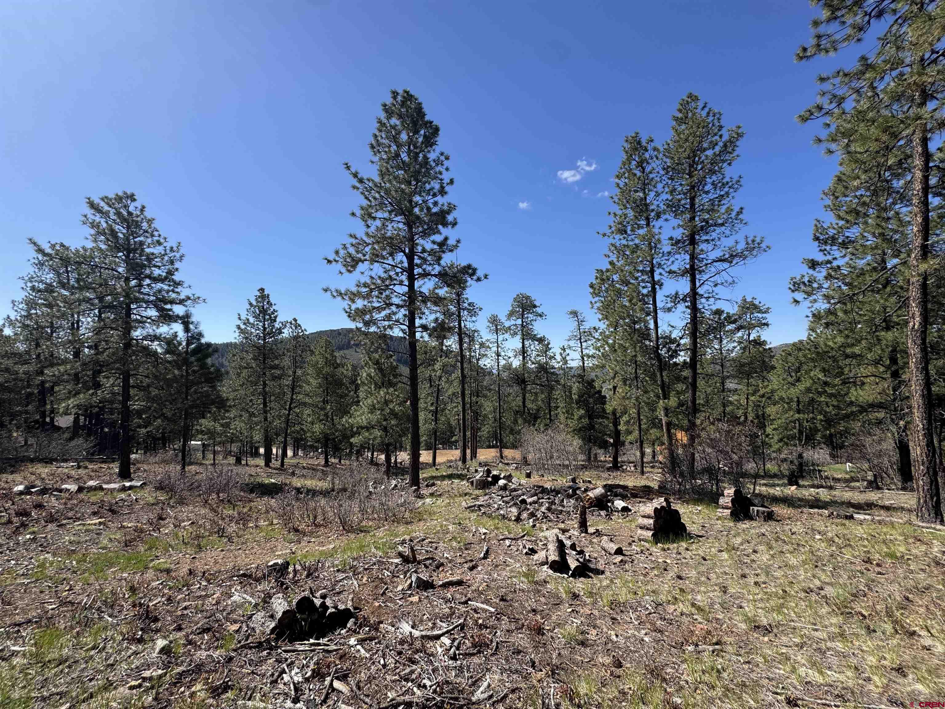 1142 Deer Ridge Drive Bayfield, CO 81122 - Photo 10 of 15 a view of a covered with trees in the background