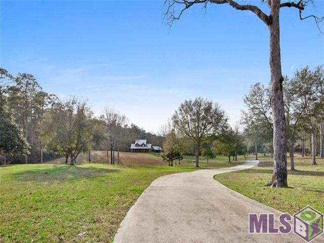 16246 Jeff Bankston Road Amite, LA 70422 - Photo 5 of 26 Gallery Image 5