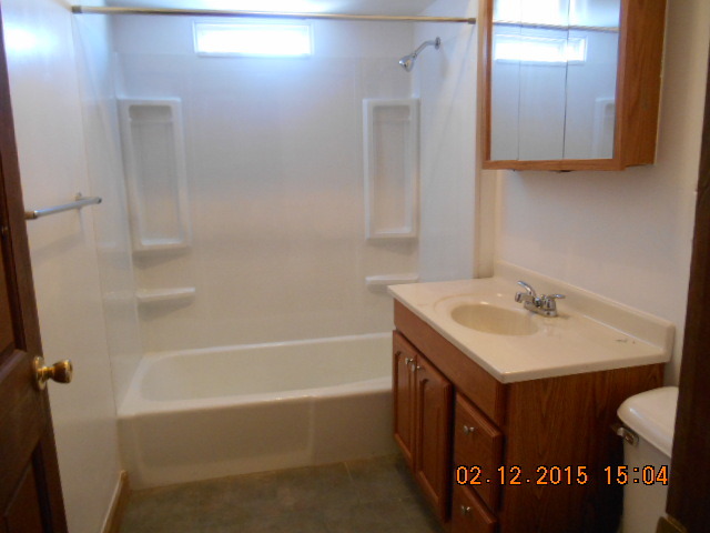 116 West Minnesota Street Spring Valley, IL 61362 - Photo 5 of 14
