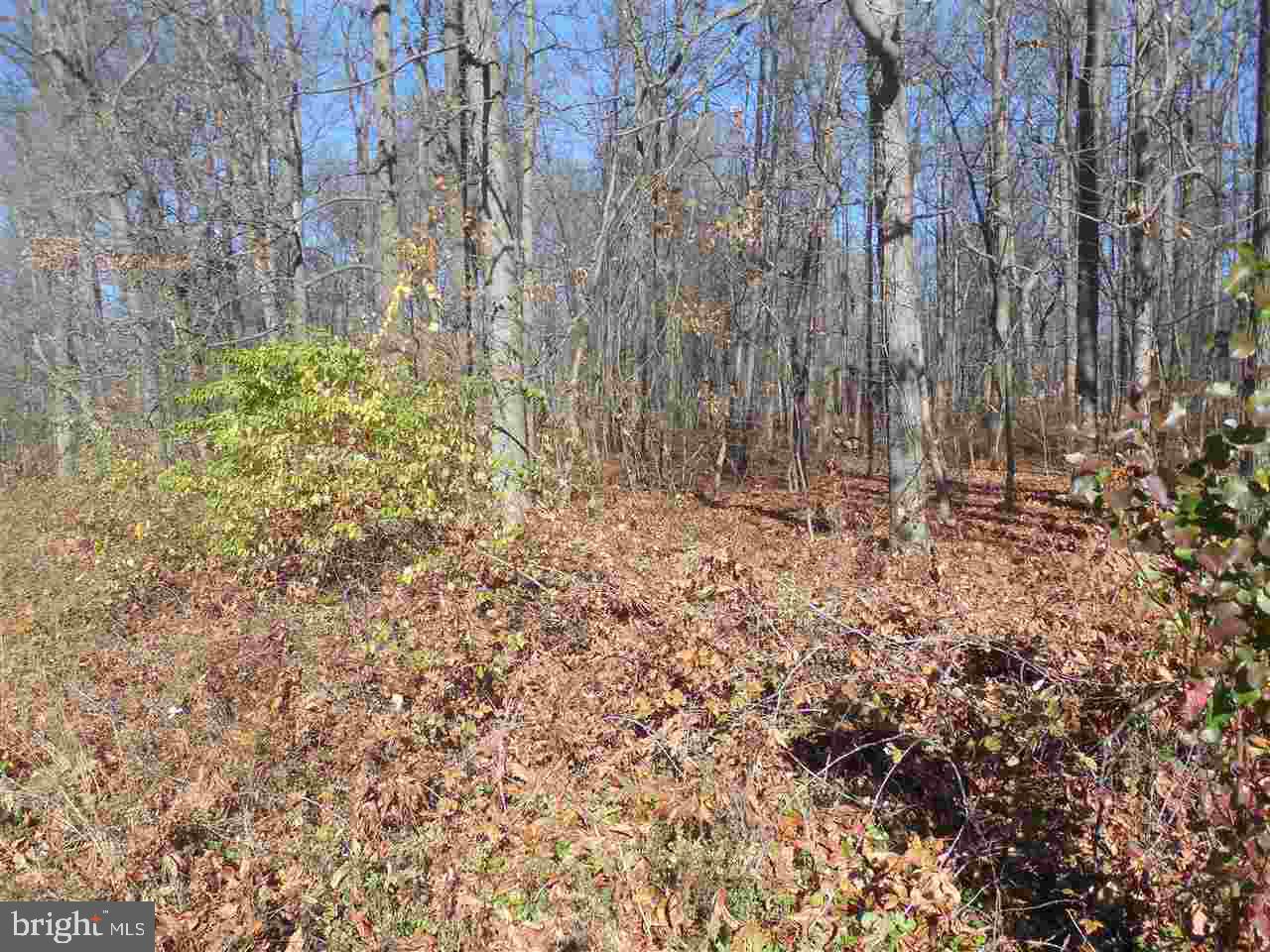 Lot 2 Buckwheat Road Fawn Grove, PA 17321 - Photo 3 of 6 Gallery Image 3