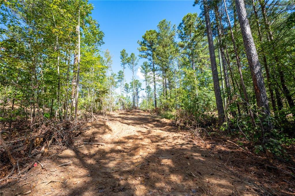 3809 Hwy 140 Ne Rydal Ga 30171 Northeast Rydal, GA 30171 - Photo 11 of 18