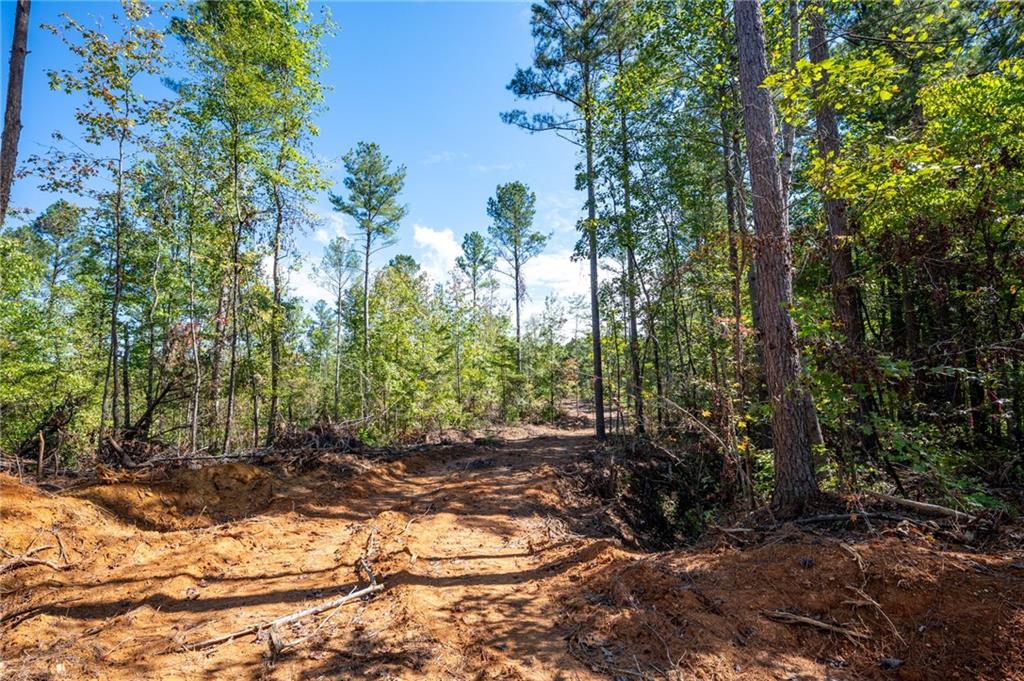 3809 Hwy 140 Ne Rydal Ga 30171 Northeast Rydal, GA 30171 - Photo 12 of 18
