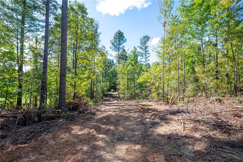 3809 Hwy 140 Ne Rydal Ga 30171 Northeast Rydal, GA 30171 - Photo 13 of 18