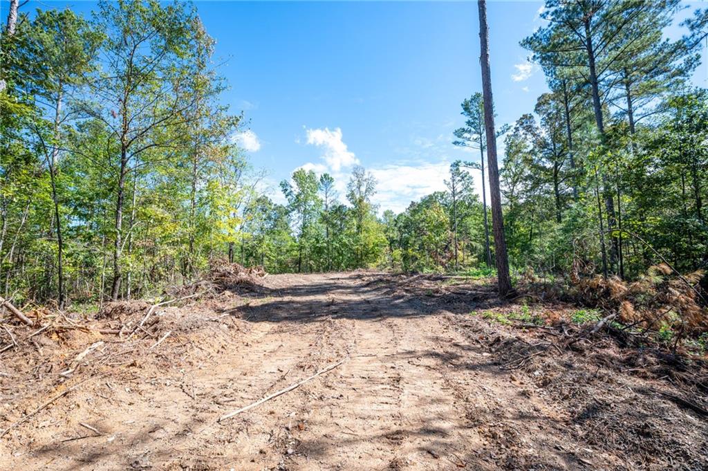 3809 Hwy 140 Ne Rydal Ga 30171 Northeast Rydal, GA 30171 - Photo 14 of 18