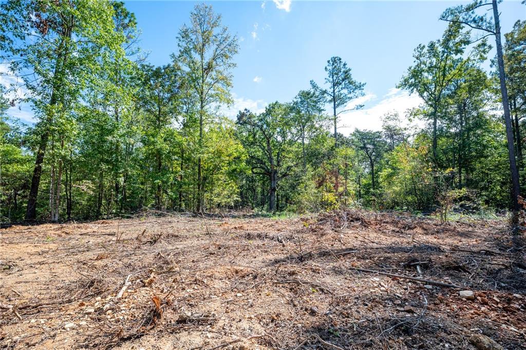 3809 Hwy 140 Ne Rydal Ga 30171 Northeast Rydal, GA 30171 - Photo 15 of 18