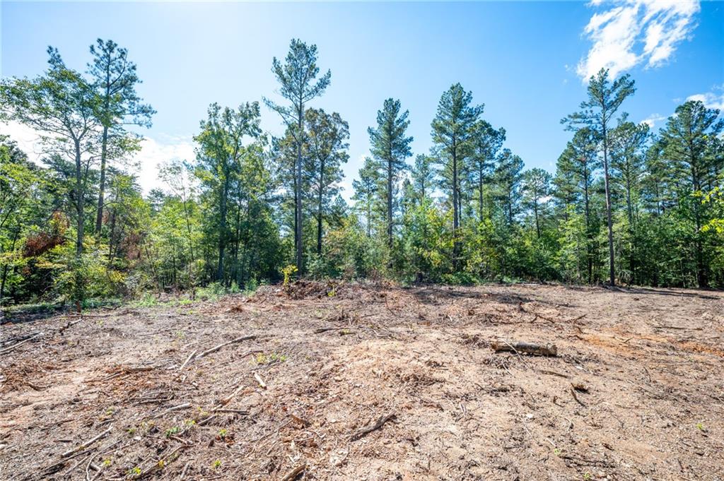 3809 Hwy 140 Ne Rydal Ga 30171 Northeast Rydal, GA 30171 - Photo 16 of 18