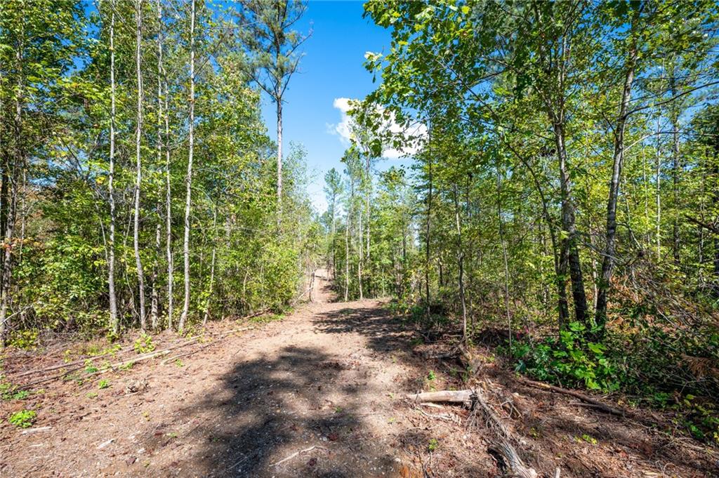 3809 Hwy 140 Ne Rydal Ga 30171 Northeast Rydal, GA 30171 - Photo 17 of 18