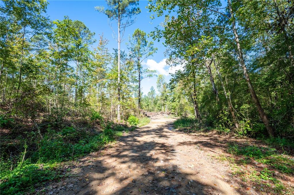 3809 Hwy 140 Ne Rydal Ga 30171 Northeast Rydal, GA 30171 - Photo 18 of 18