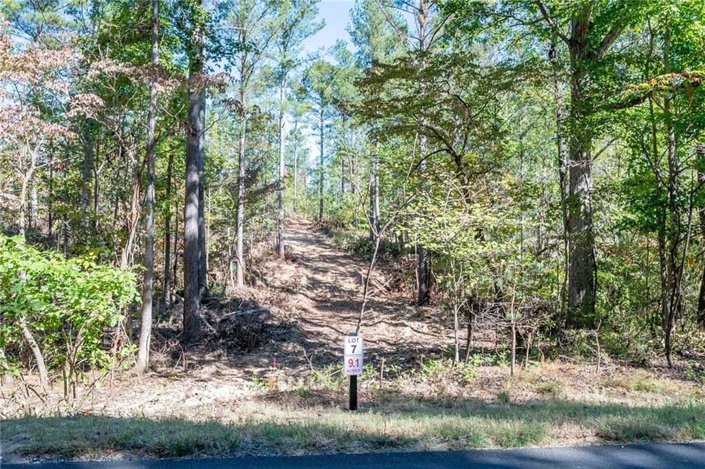 3809 Hwy 140 Ne Rydal Ga 30171 Northeast Rydal, GA 30171 - Photo 3 of 18