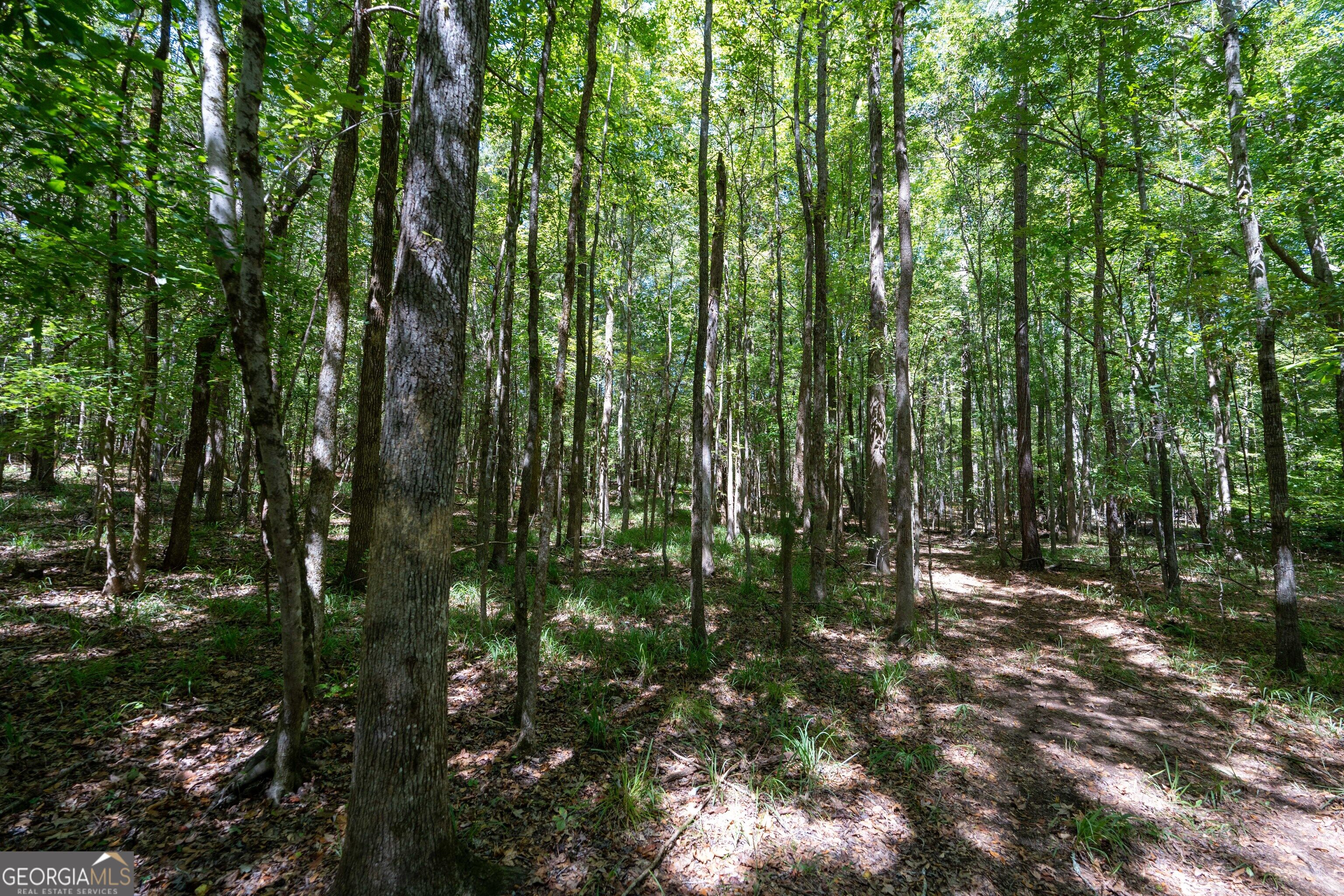 1419 Bobby Brown State Park Road Elberton, GA 30635 - Photo 53 of 90 Gallery Image 53