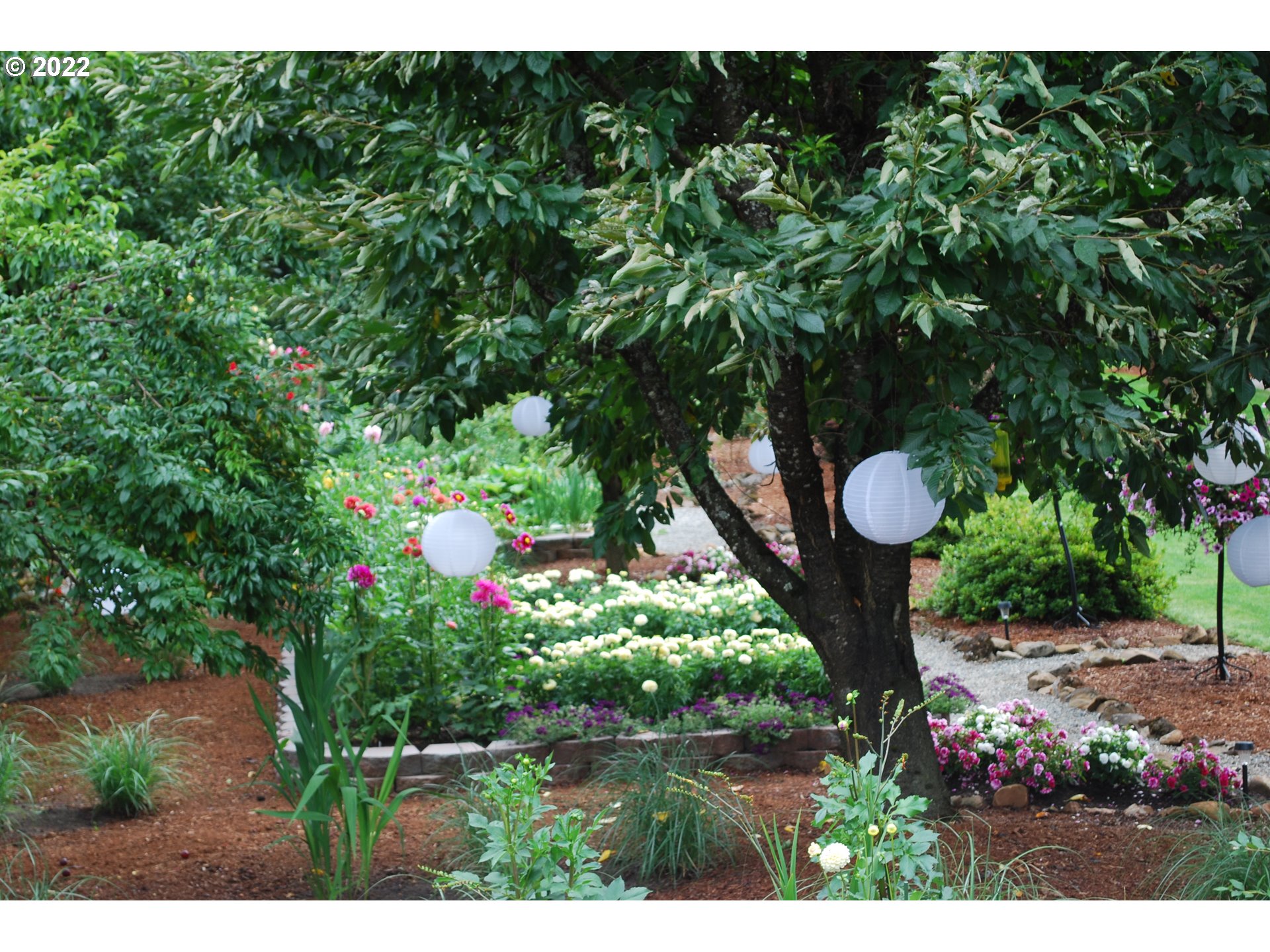13890 South Carus Road Oregon City, OR 97045 - Photo 21 of 31 a view of a tree in a yard