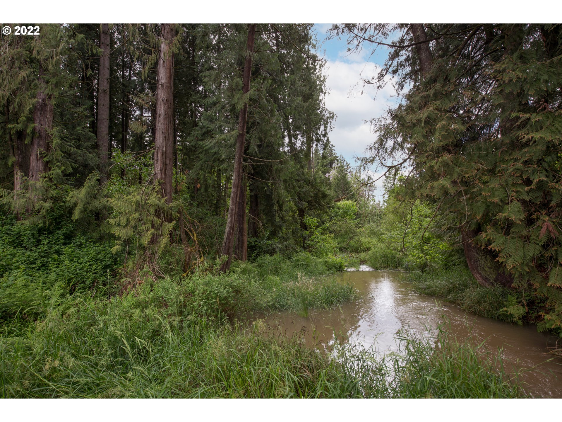 13890 South Carus Road Oregon City, OR 97045 - Photo 31 of 31 a view of lake with green space