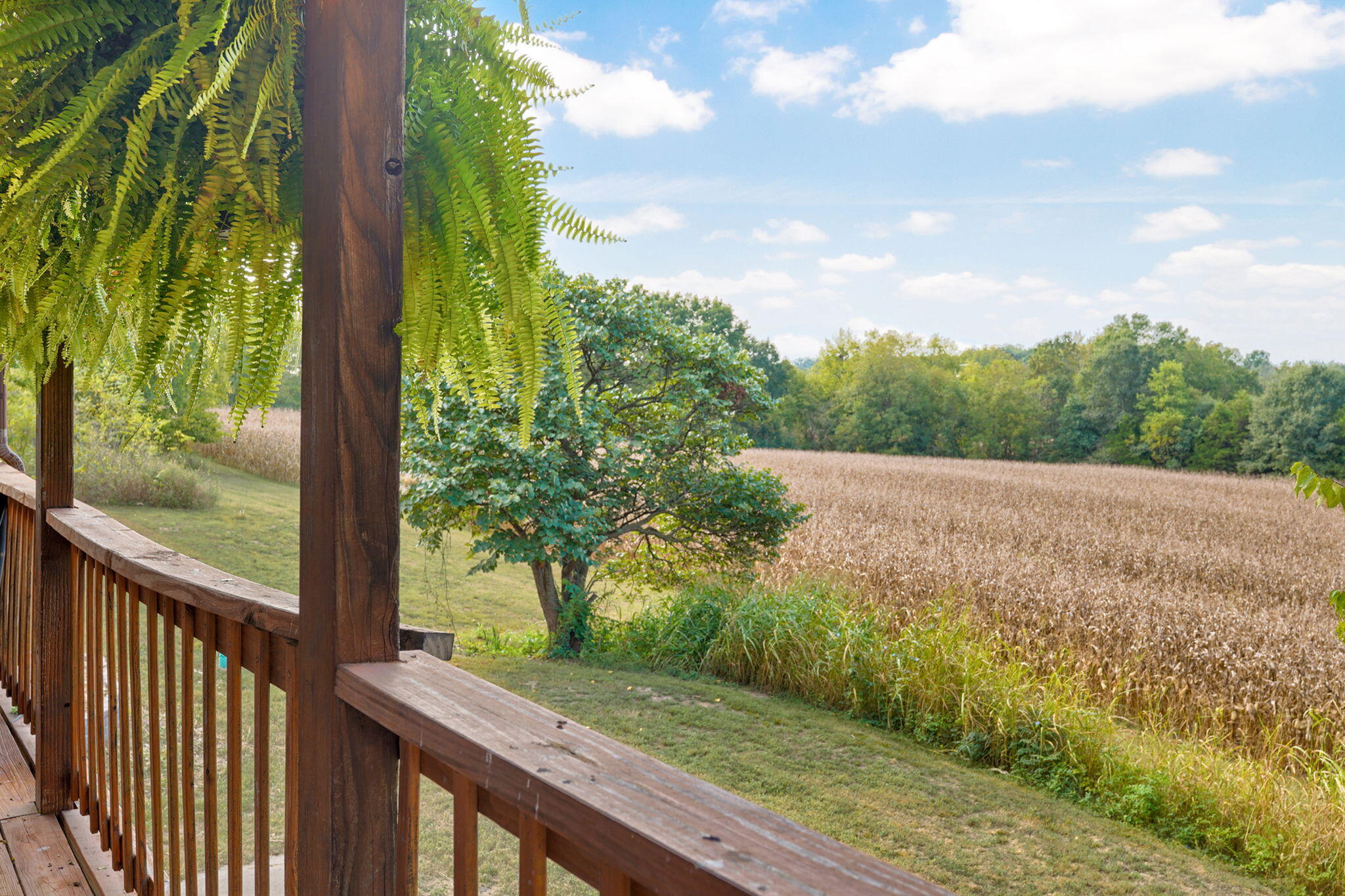 5128 South 65th Road Aldrich, MO 65601 - Photo 13 of 50 5128 S 65th Rd-15