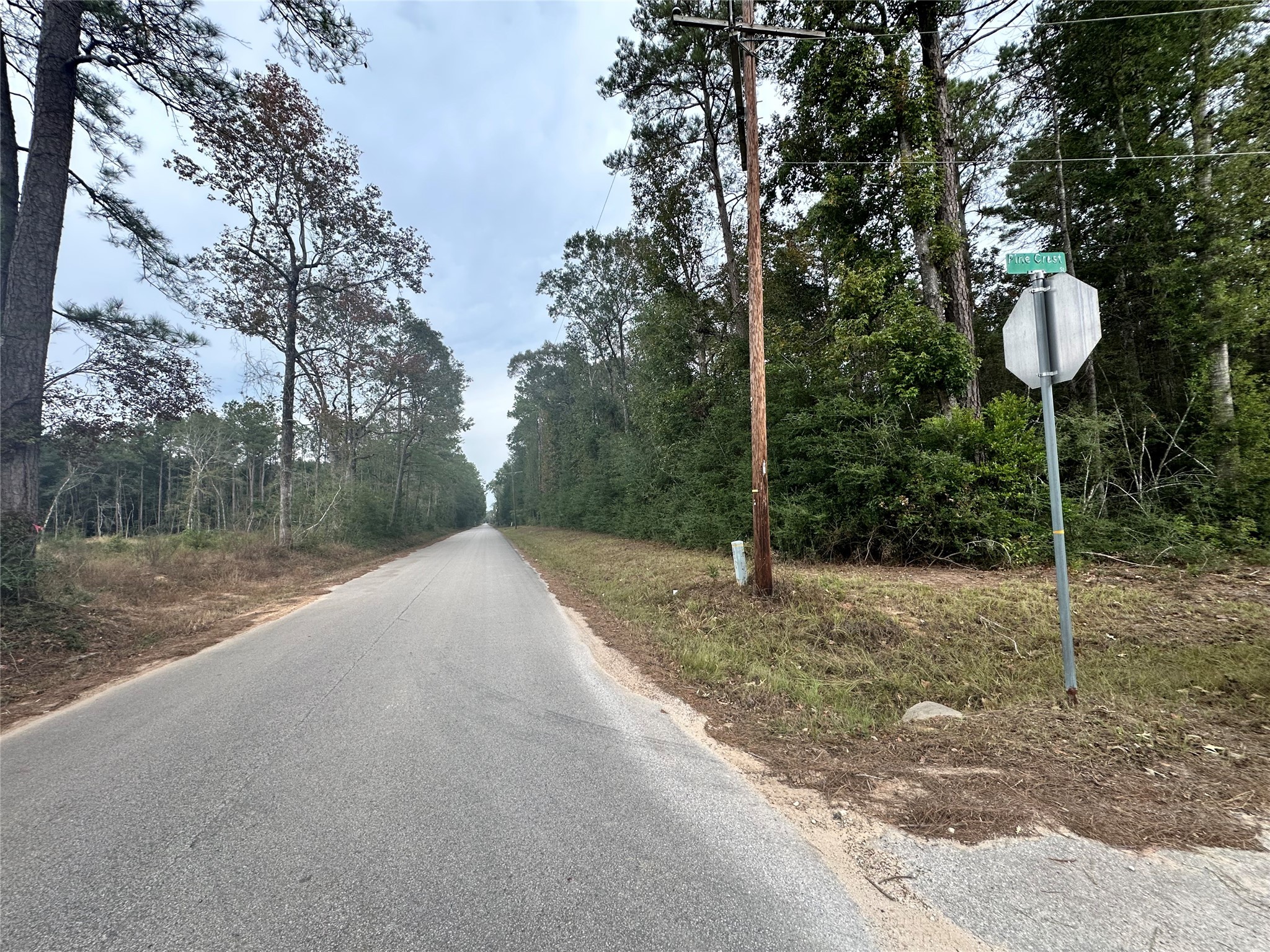 Tbd Pne Crst Street Shepherd, TX 77371 - Photo 2 of 3 a house view with a backyard space