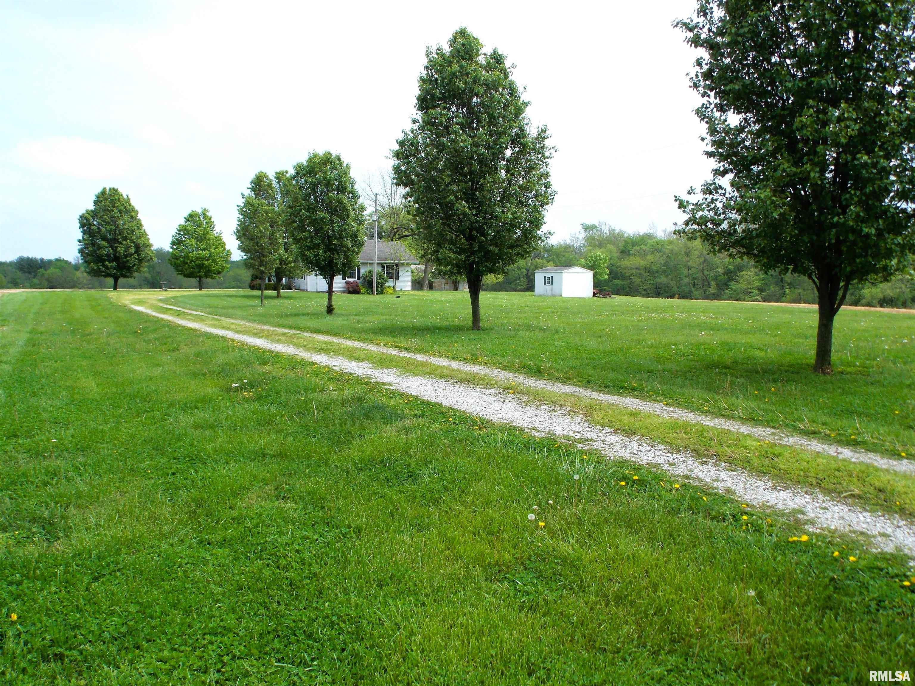 19880 Persimmon Tree Road Centralia, IL 62801 - Photo 3 of 32