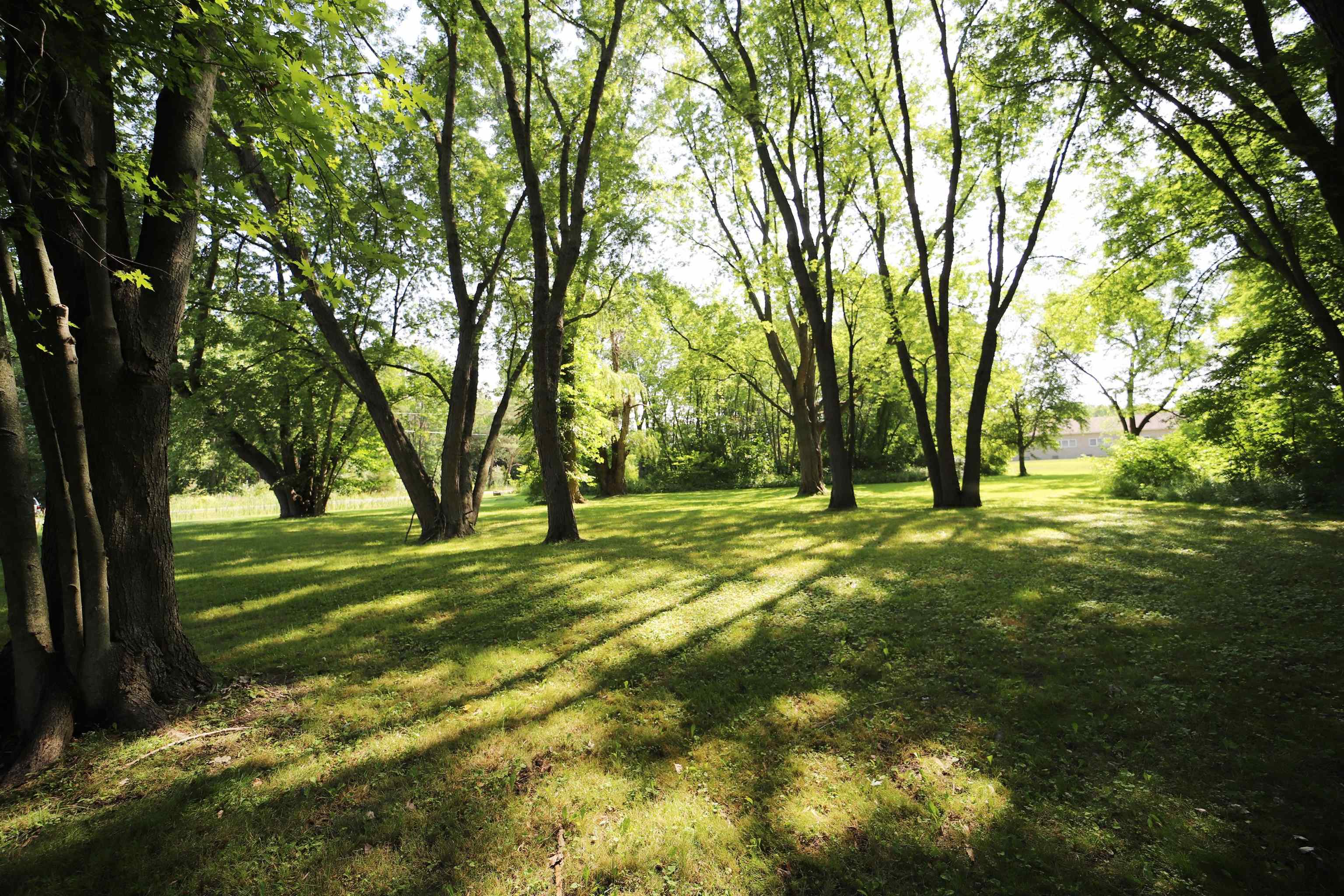 8133 West Frances Road Flushing, MI 48433 - Photo 26 of 31