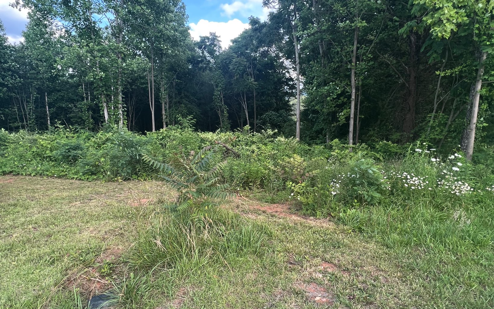 1.2-lot Cole Road Copperhill, TN 37317 - Photo 35 of 37 Additional View