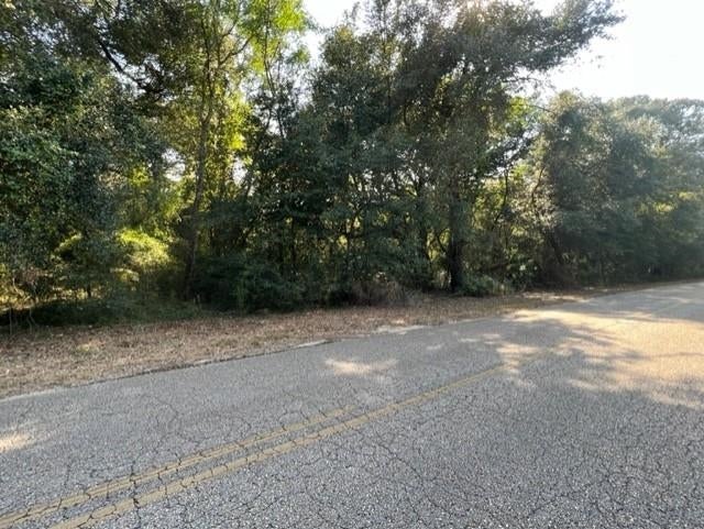 0 Rockhole Bridge Road Florala, AL 36442 - Photo 7 of 7 Gallery Image 7