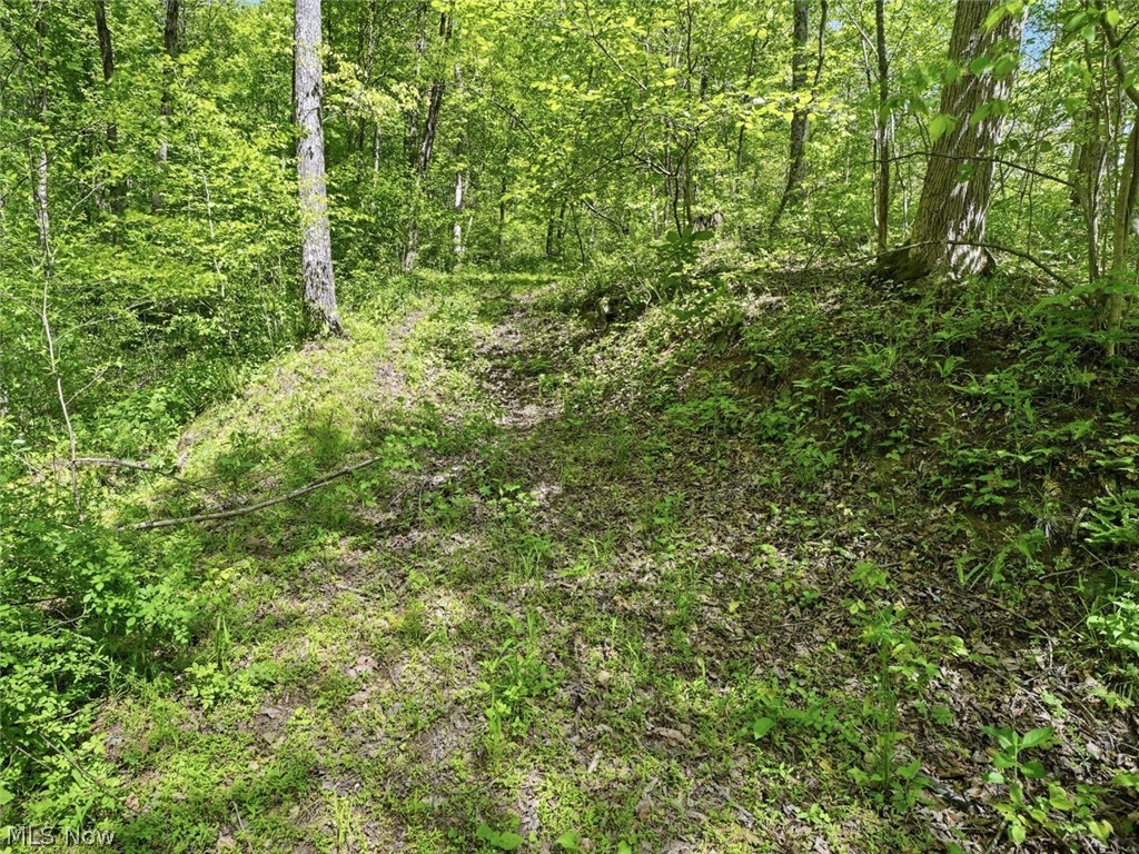 0 Pratts Run Road Woodsfield, OH 43793 - Photo 19 of 24