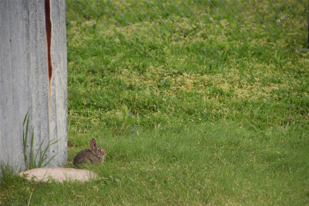 312 East Tripp Road Sunnyvale, TX 75182 - Photo 34 of 38