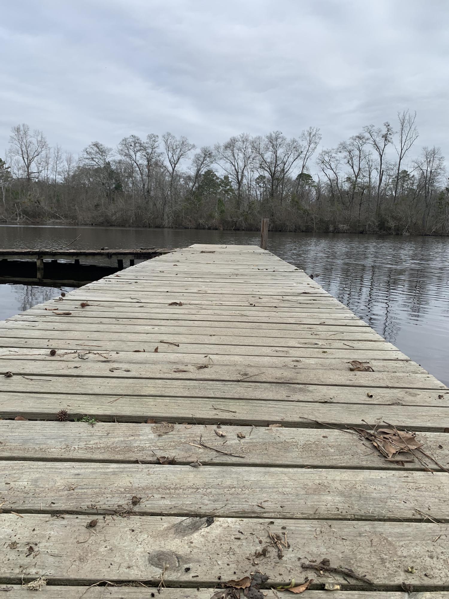 1004 Roberdell Road Rockingham, NC 28379 - Photo 39 of 41 Photo Feb 12, 10 31 52 AM