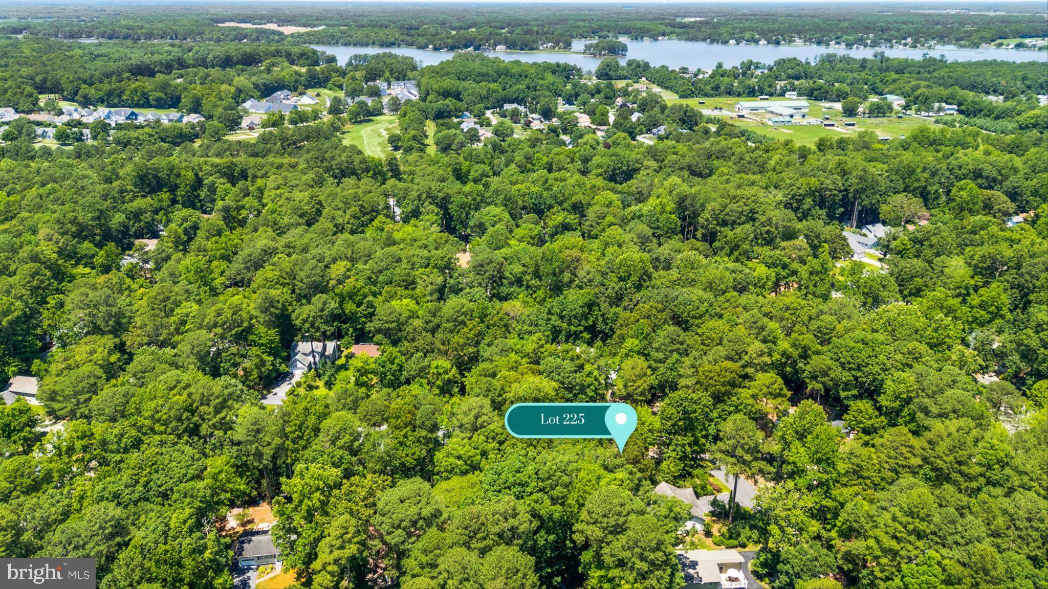 12 Moonraker Road Ocean Pines, MD 21811 - Photo 14 of 17 Serene wooded lot near the lake.