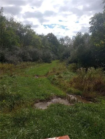 a view of a field of grass and trees