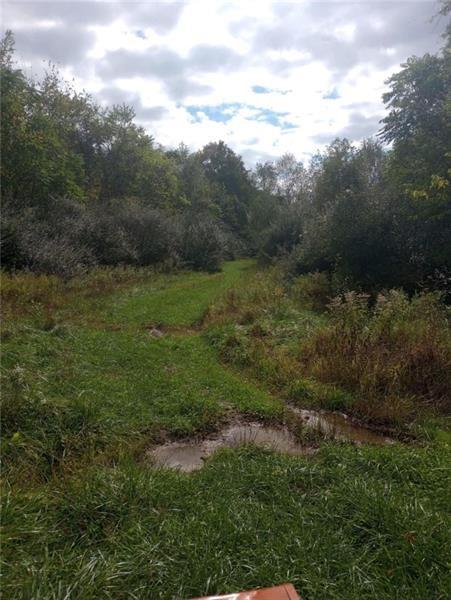 a view of a field of grass and trees