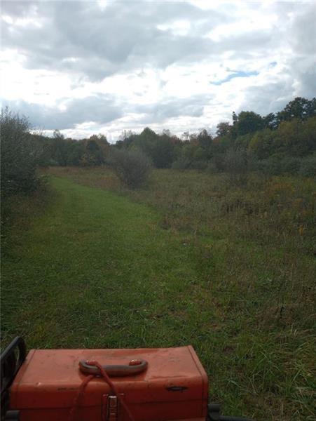 Lot 1 Hope Hollow Road Lake Lynn, PA 15451 - Photo 3 of 5