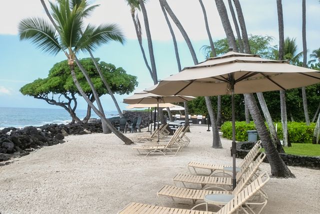 a view of outdoor space yard and patio