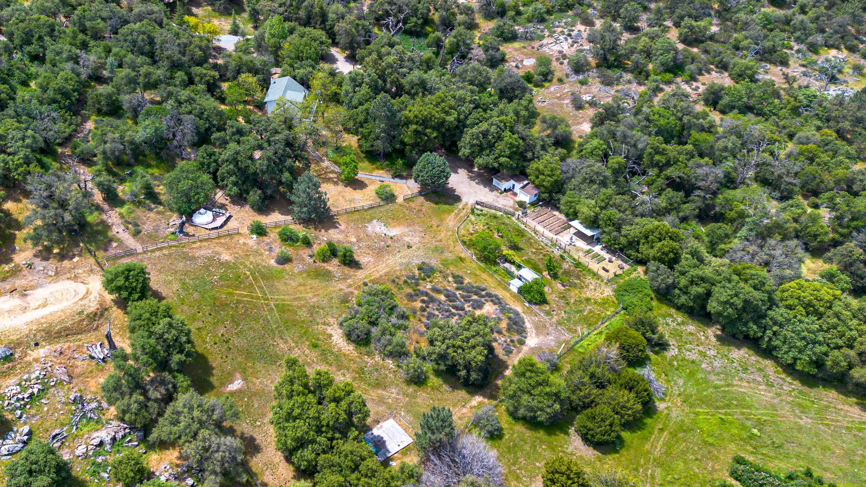 3517 Deer Lake Park Road Julian, CA 92036 - Photo 65 of 75 a view of a tree with a yard