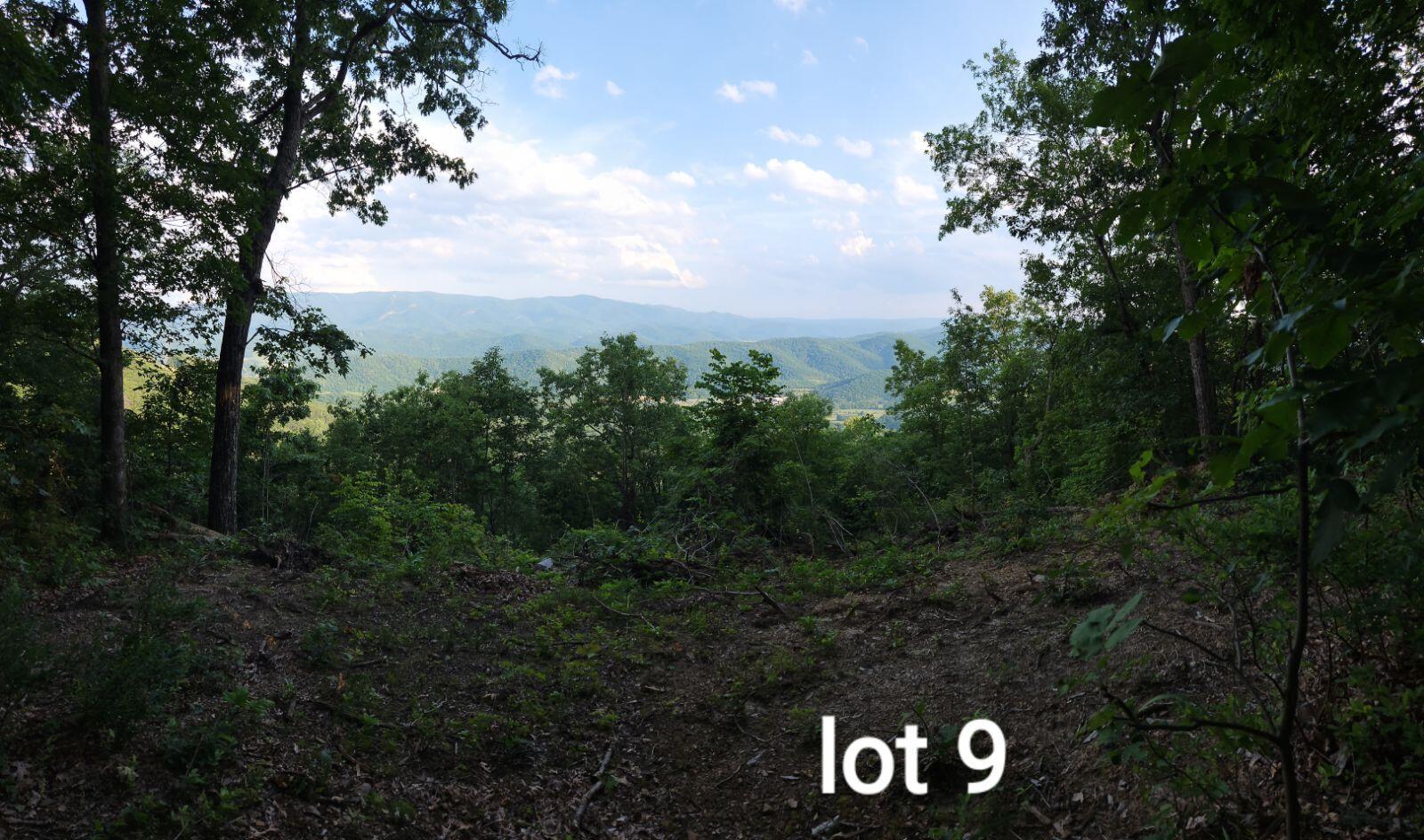 3280 Reese Mountain Road Elliston, VA 24087 - Photo 1 of 1 Lot 9