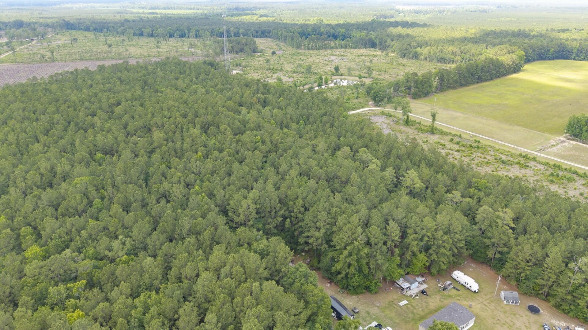 6222 Saints Delight Road, Unit LOT 8A Georgetown, SC 29440 - Photo 10 of 27