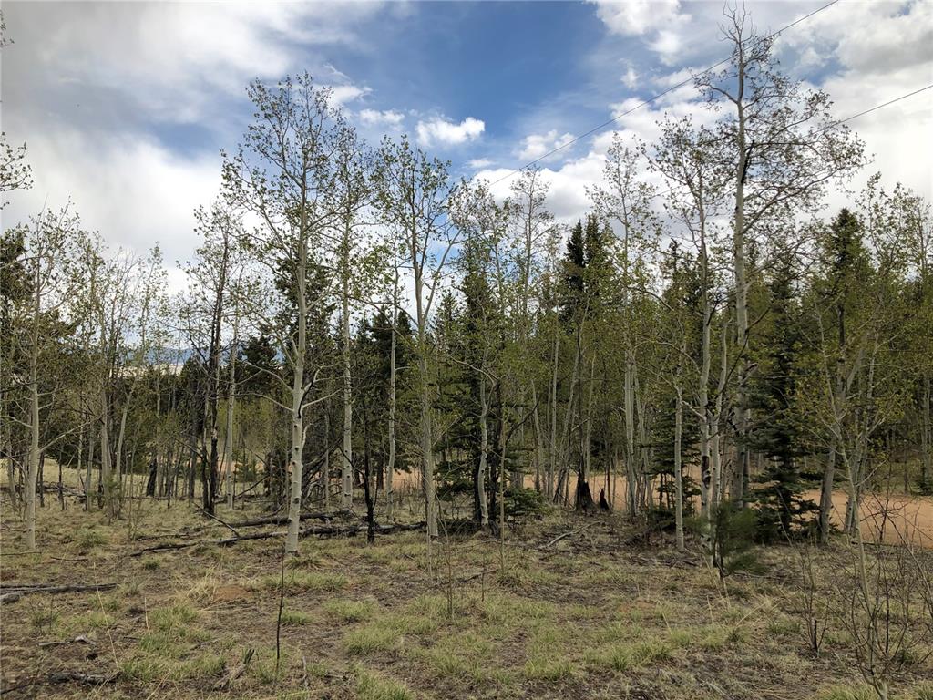 171 Falcon Road Como, CO 80432 - Photo 2 of 14 Gallery Image 2
