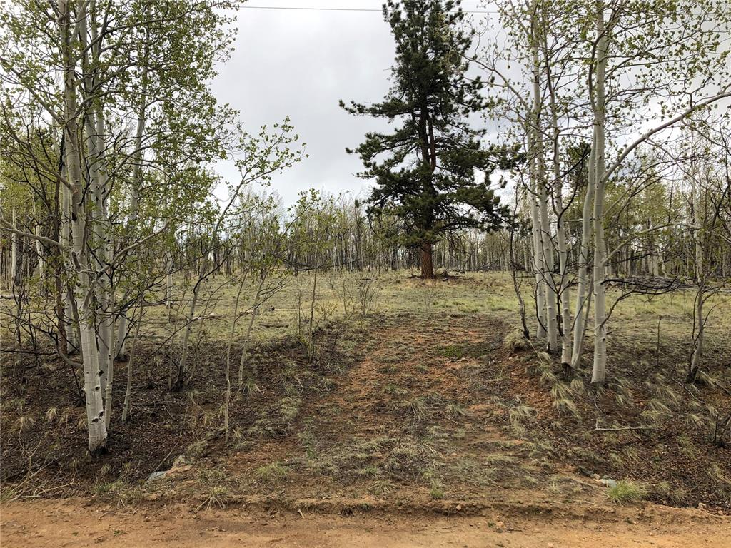 171 Falcon Road Como, CO 80432 - Photo 4 of 14 Gallery Image 4