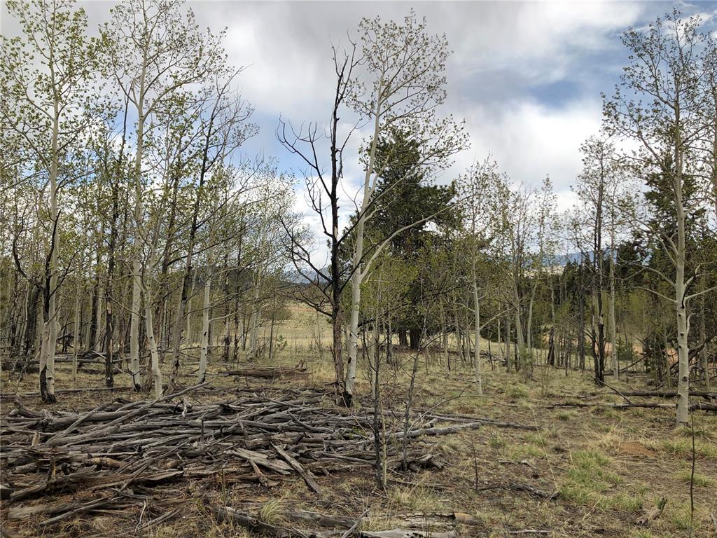 171 Falcon Road Como, CO 80432 - Photo 7 of 14 Gallery Image 7