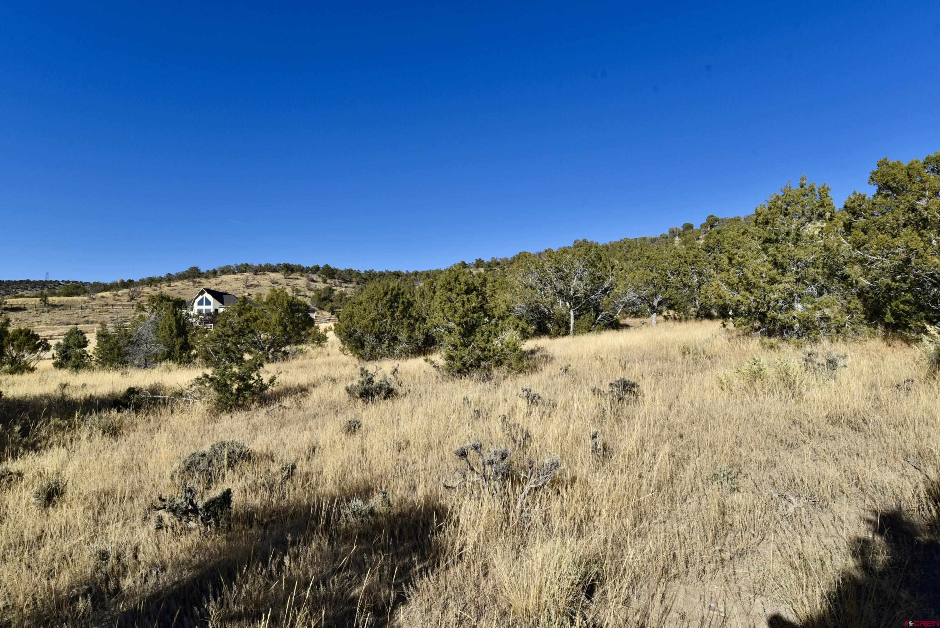 Tbd (lot 10 7250th Road Montrose, CO 81403 - Photo 18 of 22 a view of a yard