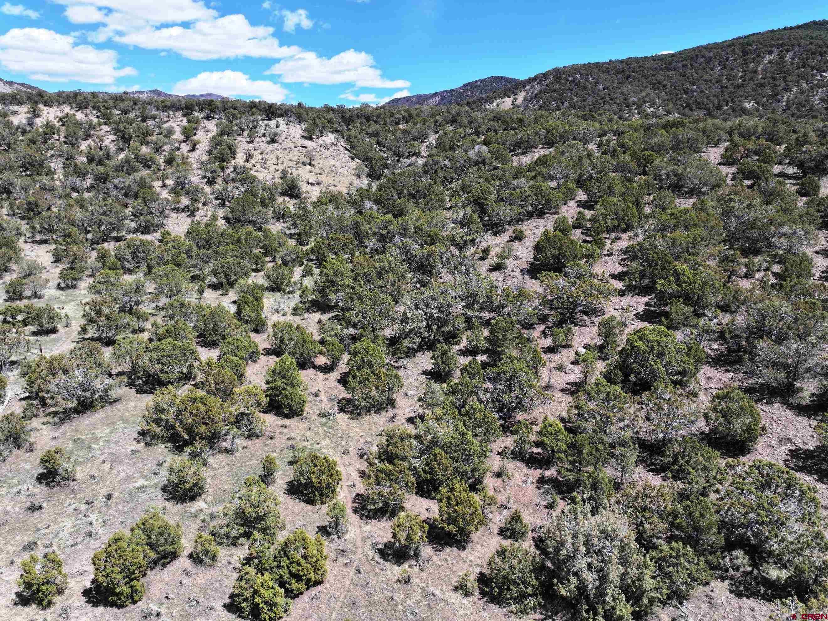 Tbd (lot 10 7250th Road Montrose, CO 81403 - Photo 4 of 22 a view of a forest with a building in the background
