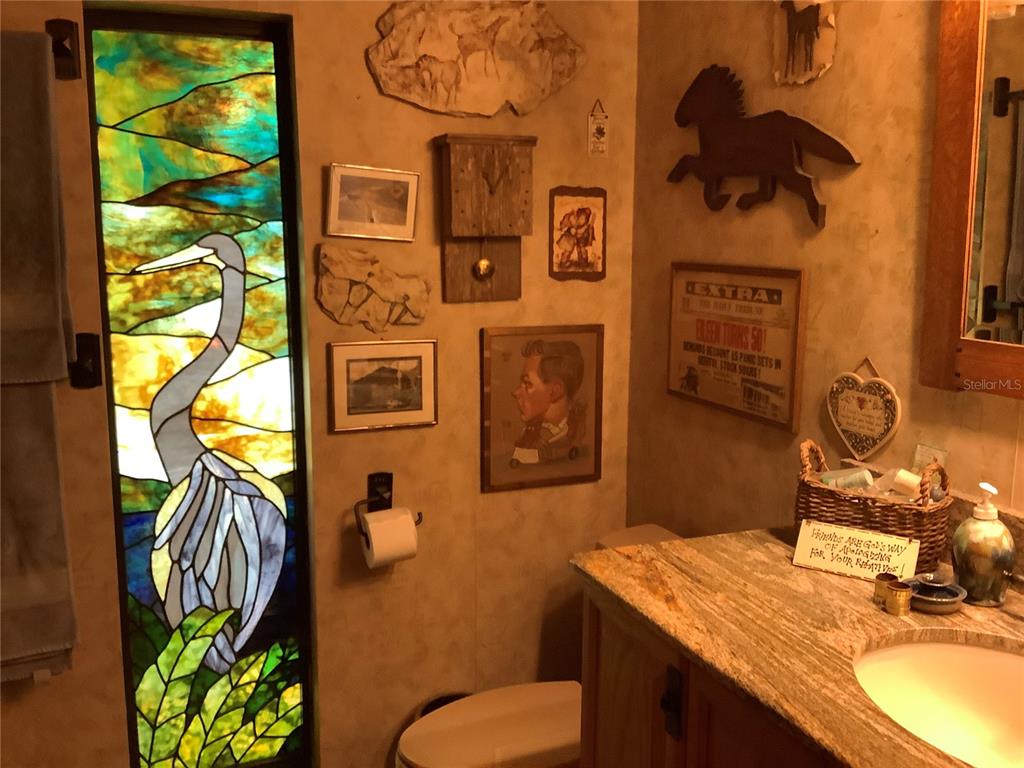 16921 Crawley Road Odessa, FL 33556 - Photo 15 of 33 a bathroom with a sink a mirror and a toilet