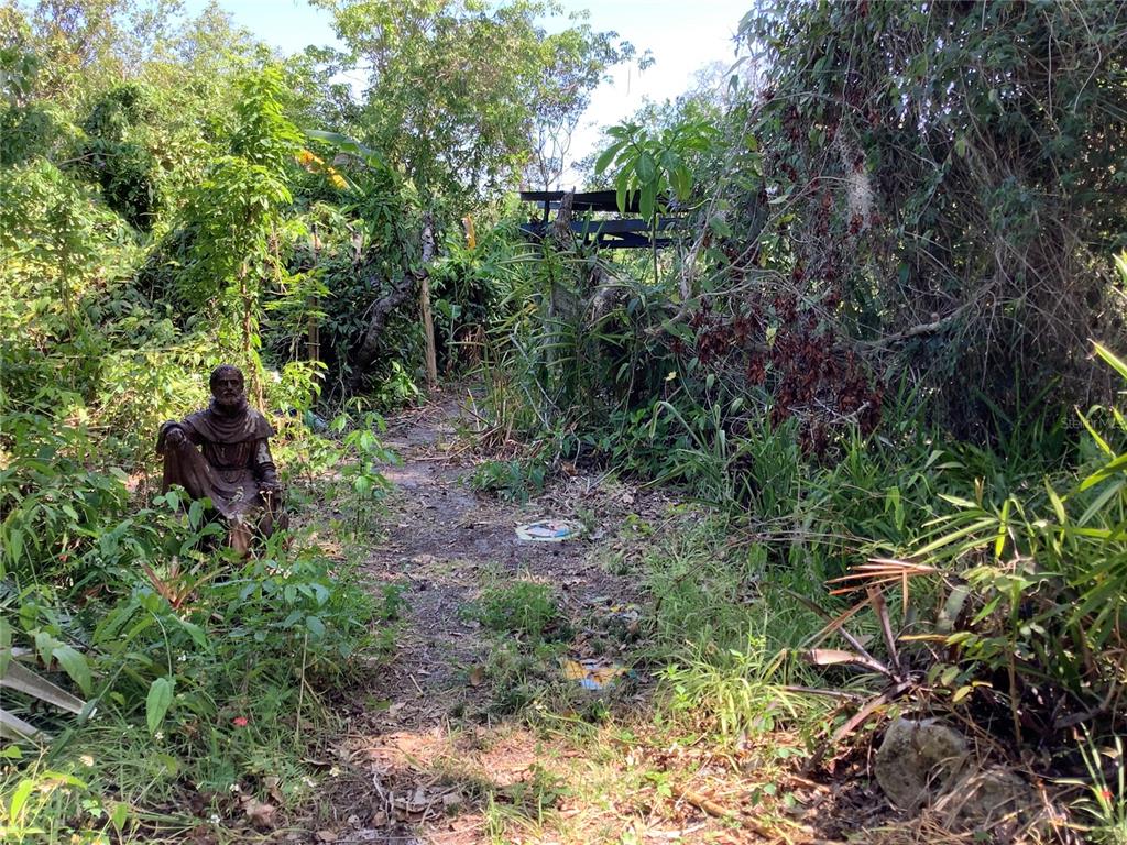 16921 Crawley Road Odessa, FL 33556 - Photo 26 of 33 a view of a garden with plants