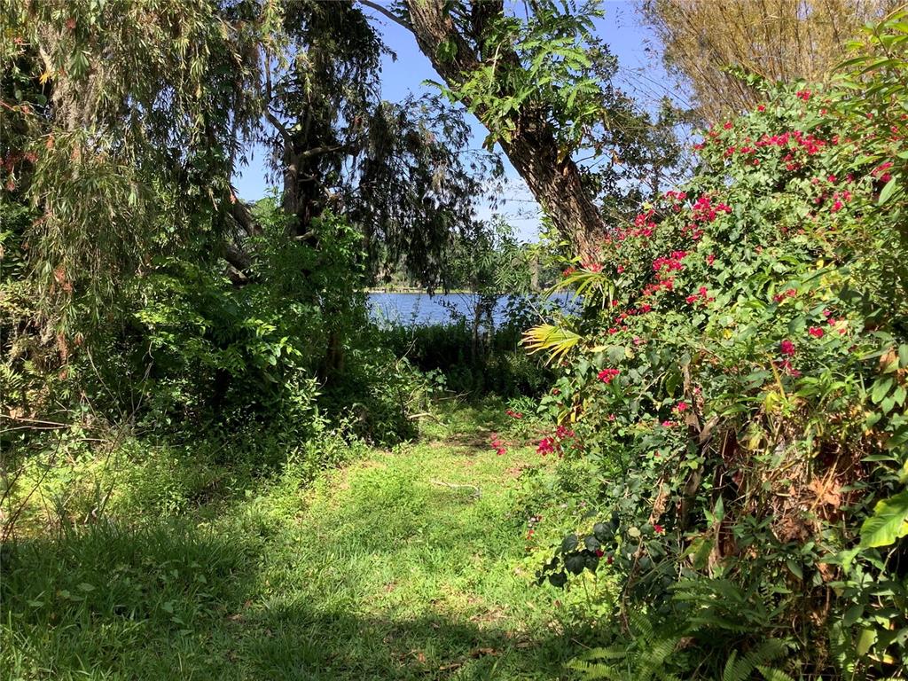 16921 Crawley Road Odessa, FL 33556 - Photo 30 of 33 a view of a garden with a tree