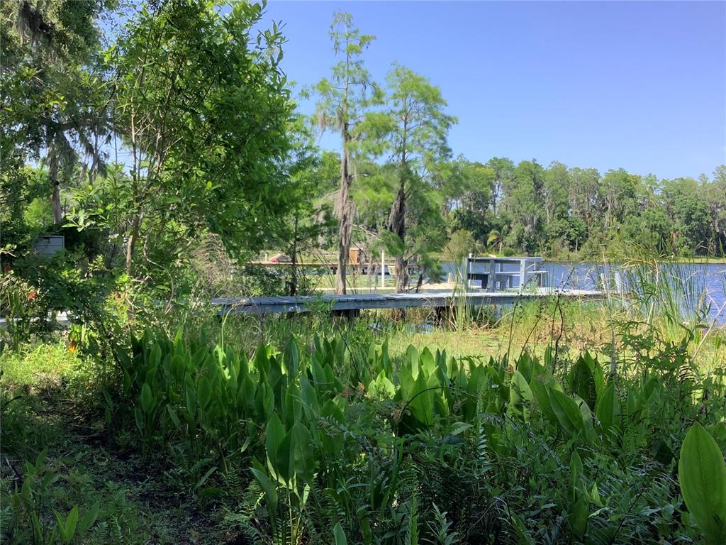 16921 Crawley Road Odessa, FL 33556 - Photo 31 of 33 a view of swimming pool with a yard